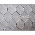 High quality Hexagonal wire mesh, netting for raising chicken